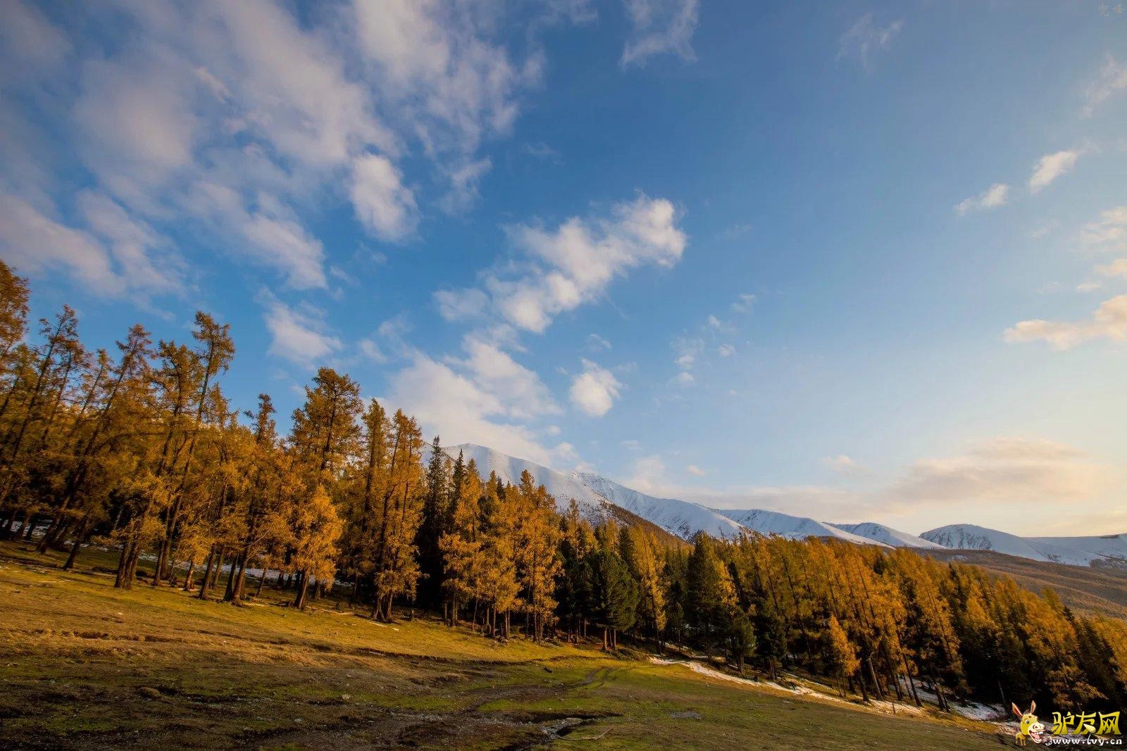 4�׹���ȥ����˹·�Ϸ�� (2).jpg